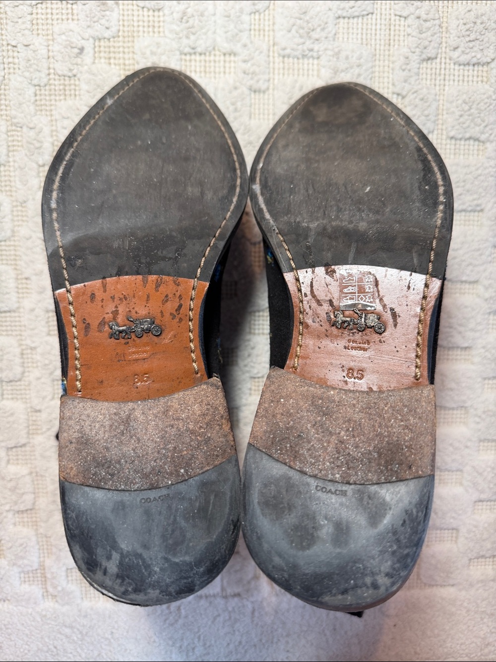Coach Black Suede Embroidered Chelsea Booties with Blue Floral Accents - Picture 6 of 7